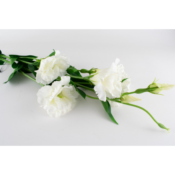 eustoma sztuczna