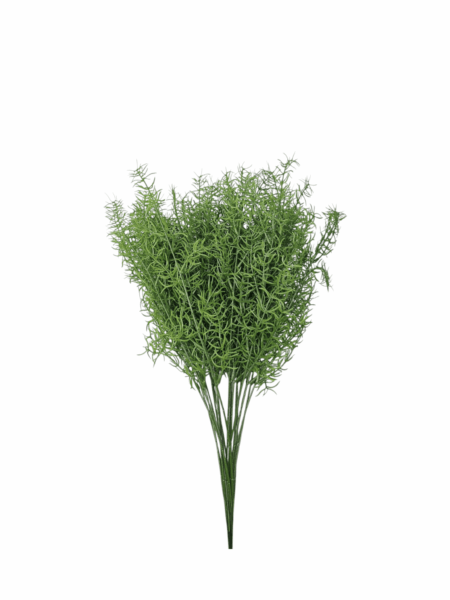 asparagus