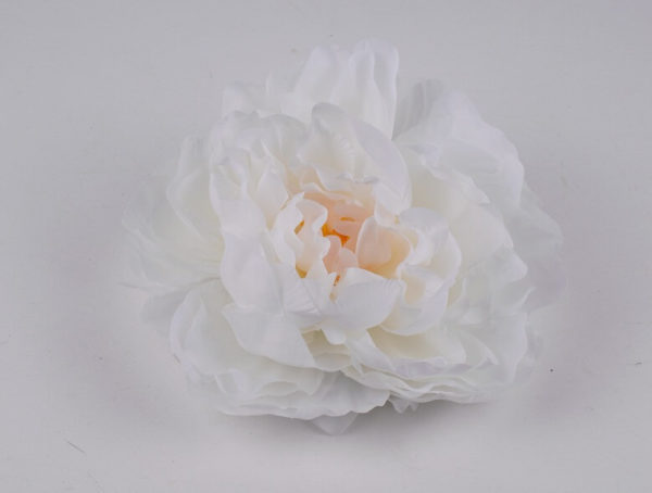 peonia wyrobowa biała