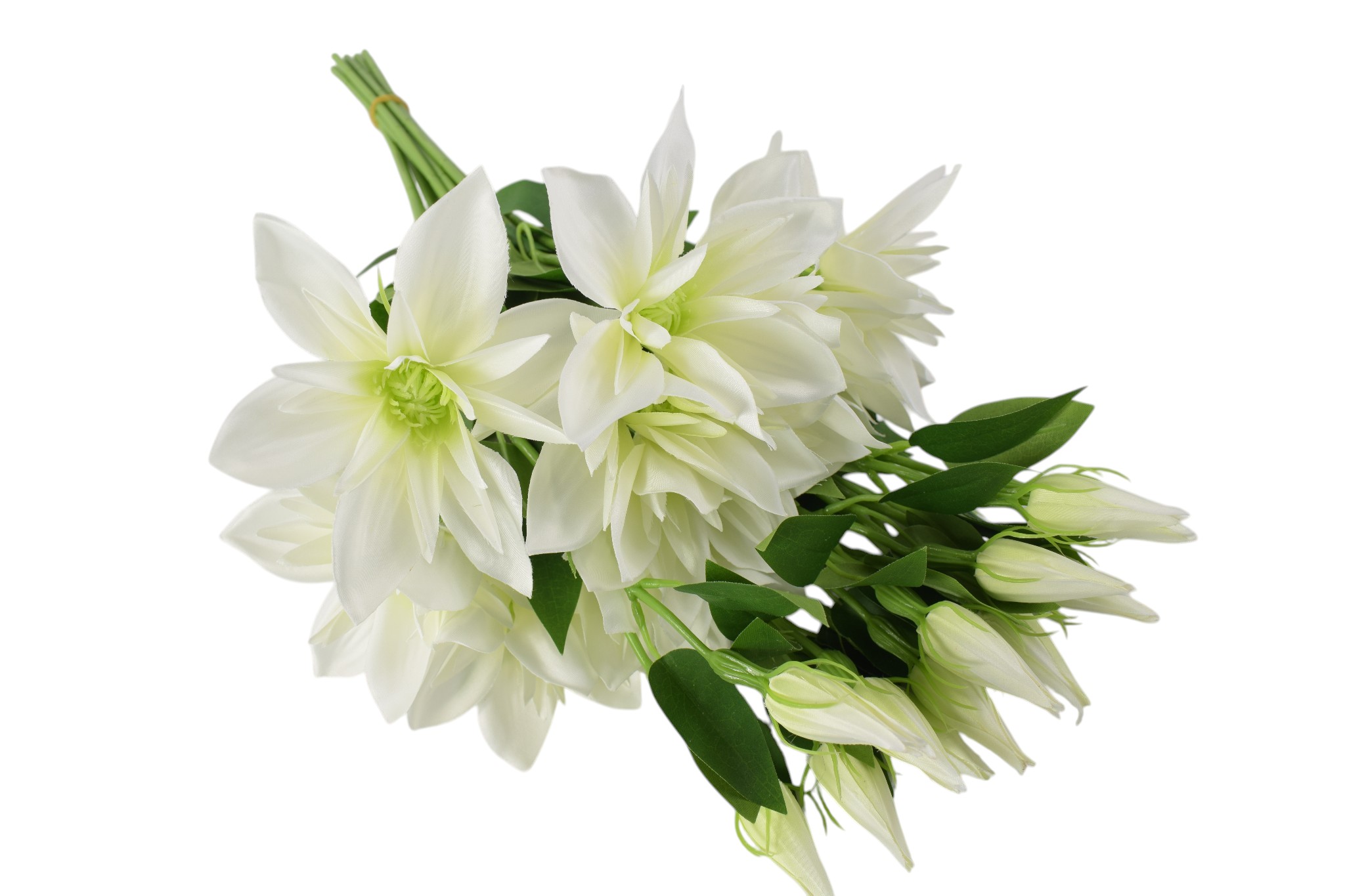 klematis pik