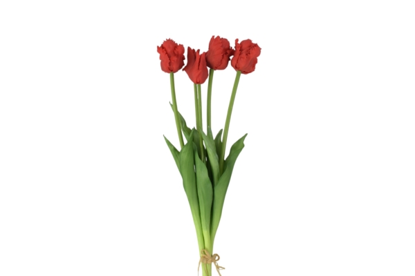 Tulipan papuzi gumowy