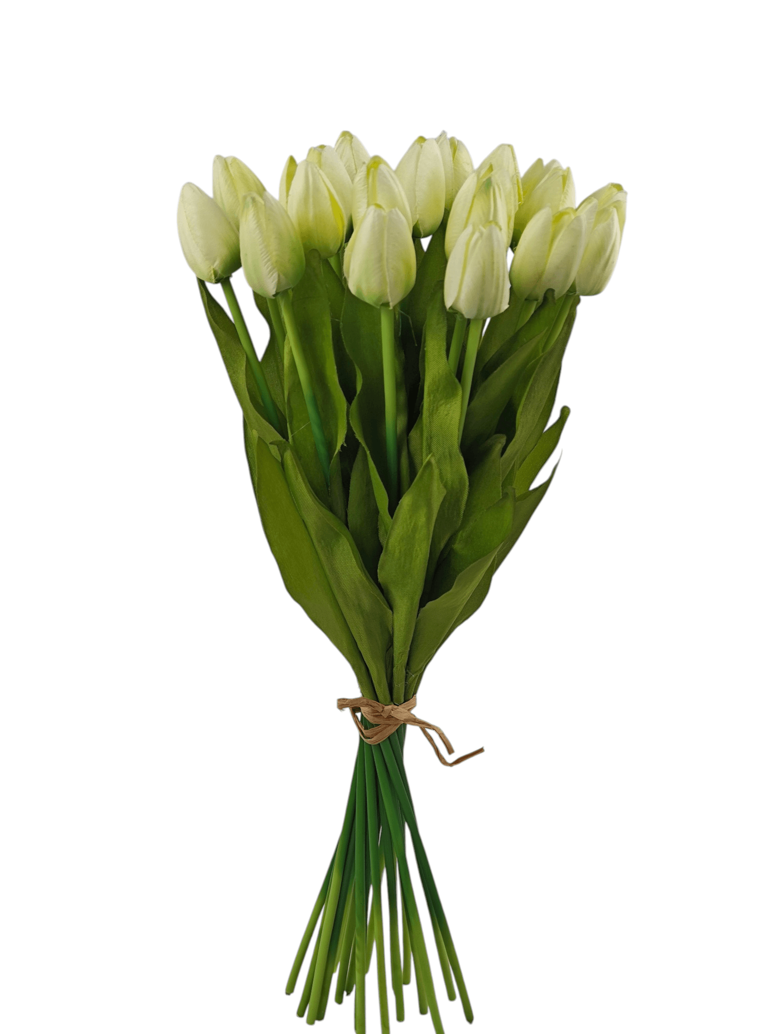 Tulipan drobny