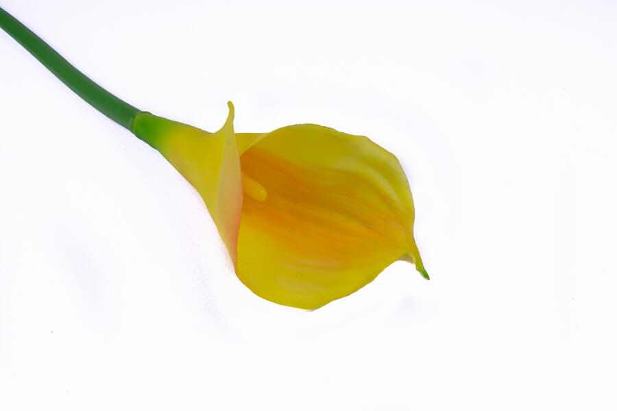 sztuczna calla