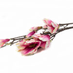 sztuczna gałązkowa magnolia