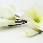 sztuczna gałązkowa magnolia