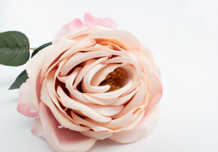 sztuczna roza pojedyncza