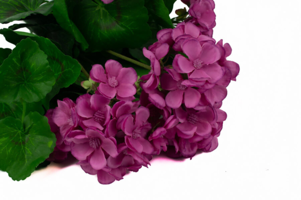 sztuczna pelargonia