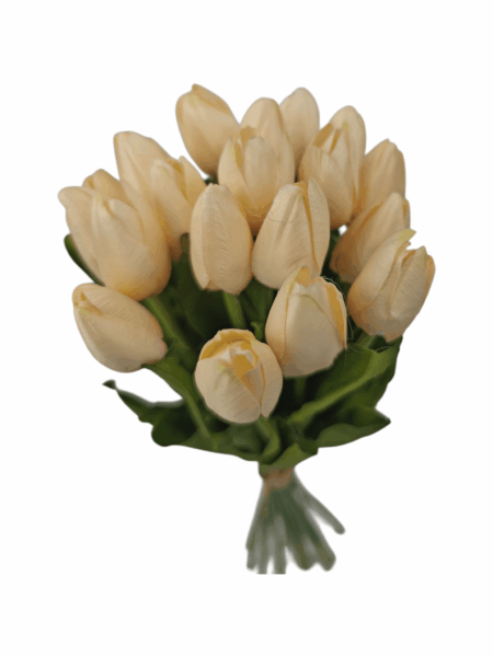 tulipan drobny