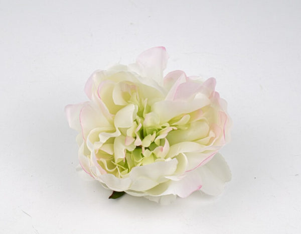 peonia wyrobowa