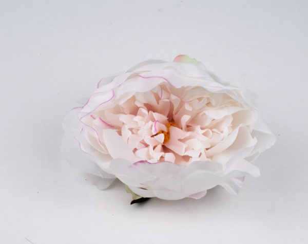 peonia wyrobowa