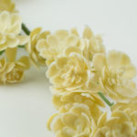 sztuczne kalanchoe