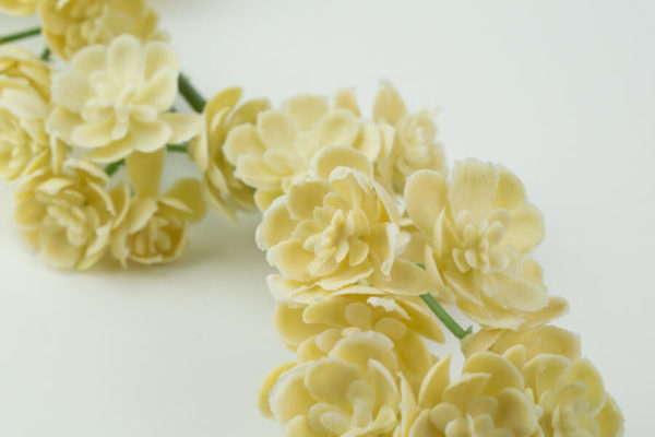 sztuczne kalanchoe