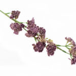 sztuczne kalanchoe