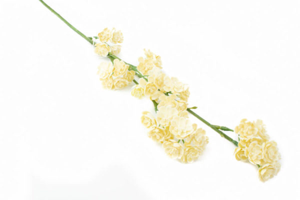 sztuczne kalanchoe
