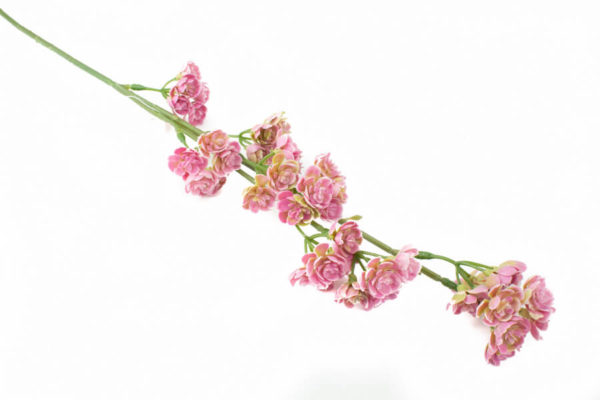 sztuczne kalanchoe
