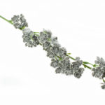 sztuczne kalanchoe