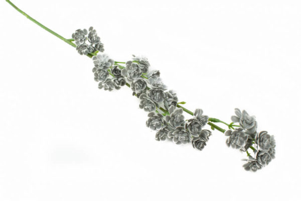 sztuczne kalanchoe