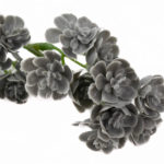 sztuczne kalanchoe