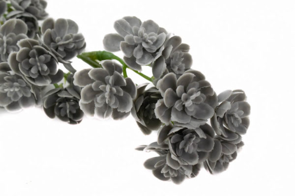 sztuczne kalanchoe