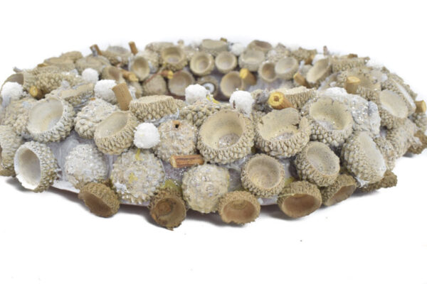 Product image thumbnail