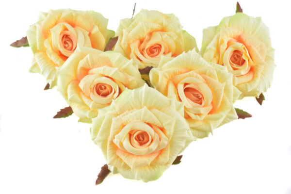 Product image thumbnail