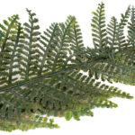 Product image thumbnail