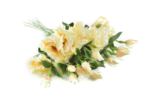 Product image thumbnail