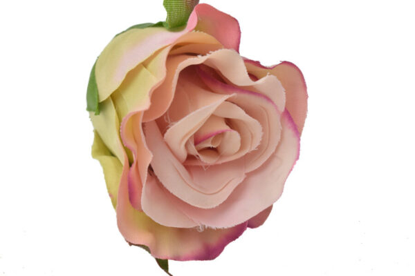 Product image thumbnail
