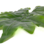 Product image thumbnail