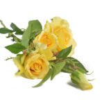 Product image thumbnail