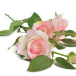 Product image thumbnail