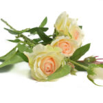 Product image thumbnail
