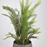 Product image thumbnail