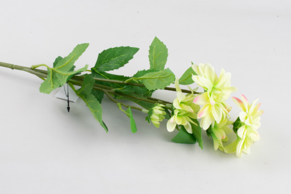 Product image thumbnail