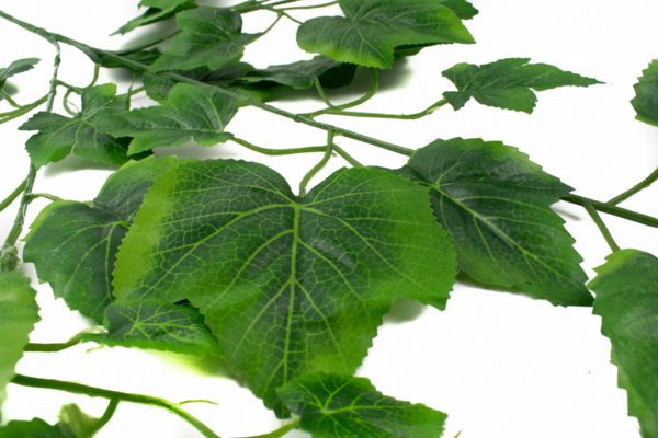 Product image thumbnail