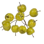 Product image thumbnail