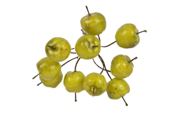 Product image thumbnail