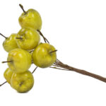 Product image thumbnail