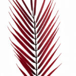 Product image thumbnail