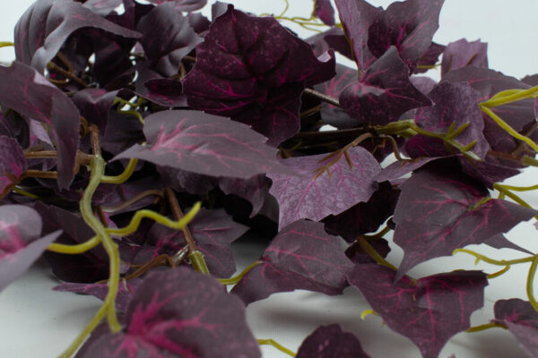 Product image thumbnail