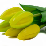 Product image thumbnail