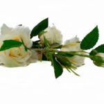 Product image thumbnail