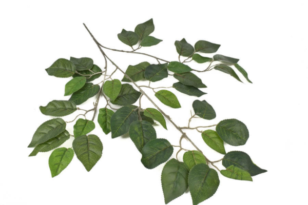 Product image thumbnail