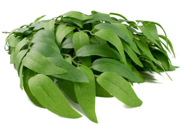 Product image thumbnail