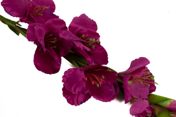 Product image thumbnail