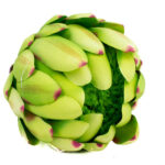 Product image thumbnail