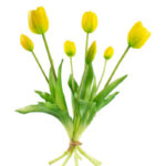 Product image thumbnail