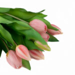 Product image thumbnail