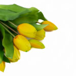 Product image thumbnail