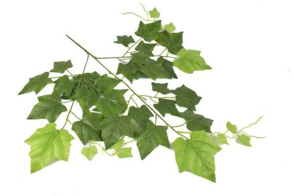 Product image thumbnail